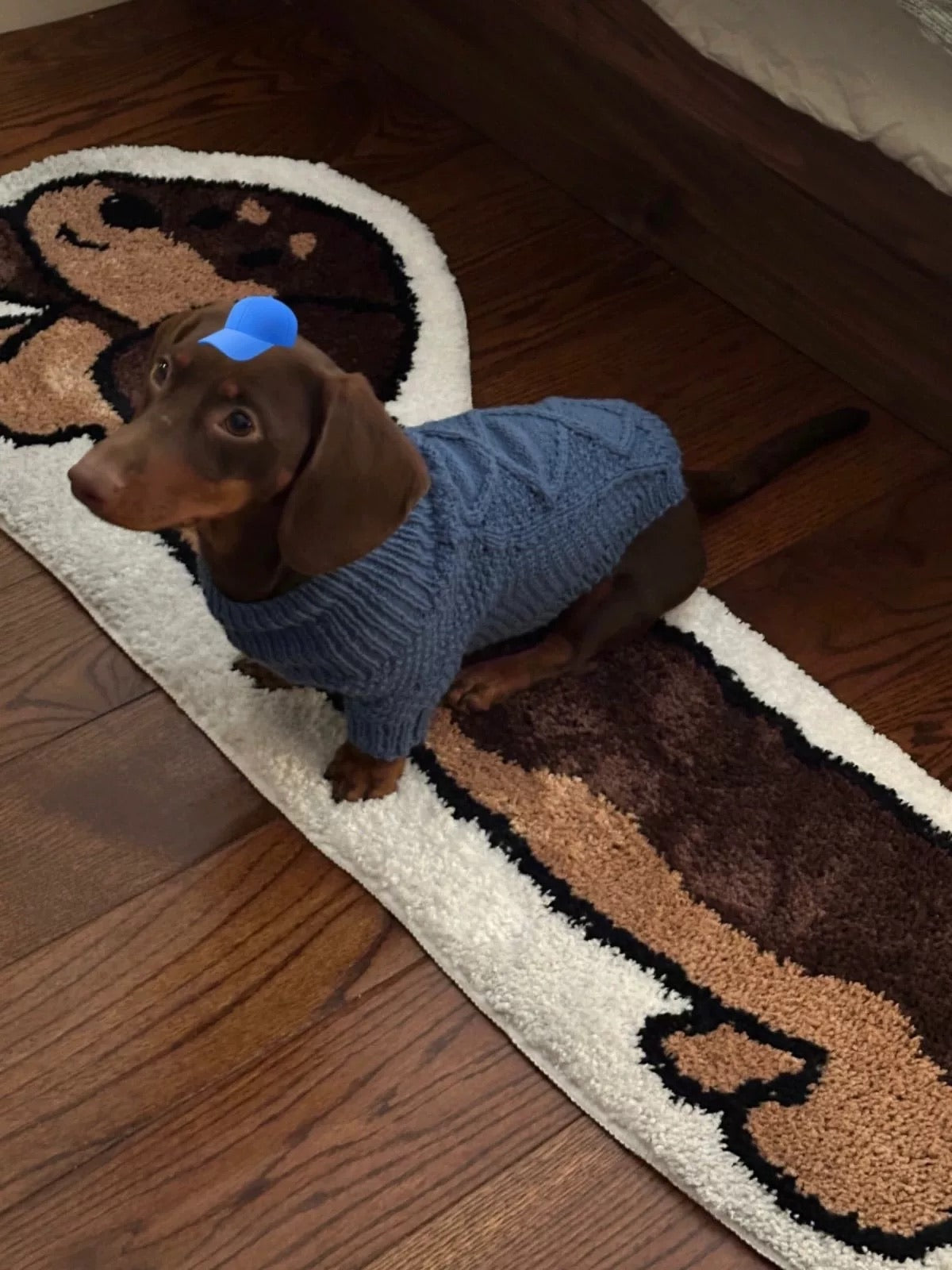 Cute Dachshund Flocked Non-slip Floor Mat