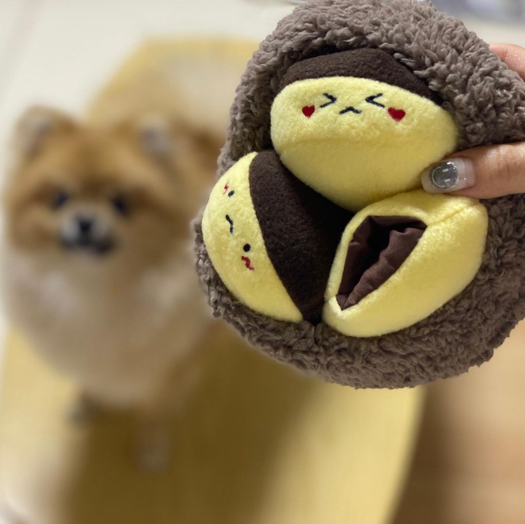 Triplets Chestnut Hide&Seek Pet Toys Set