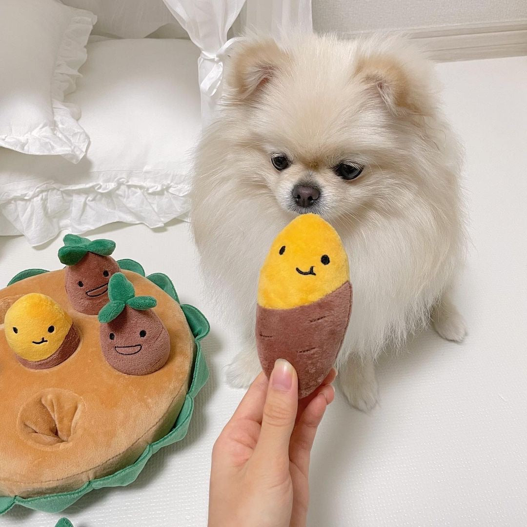 Korean Style Cute Sweet Potato Hide&Seek Pet Toys Set