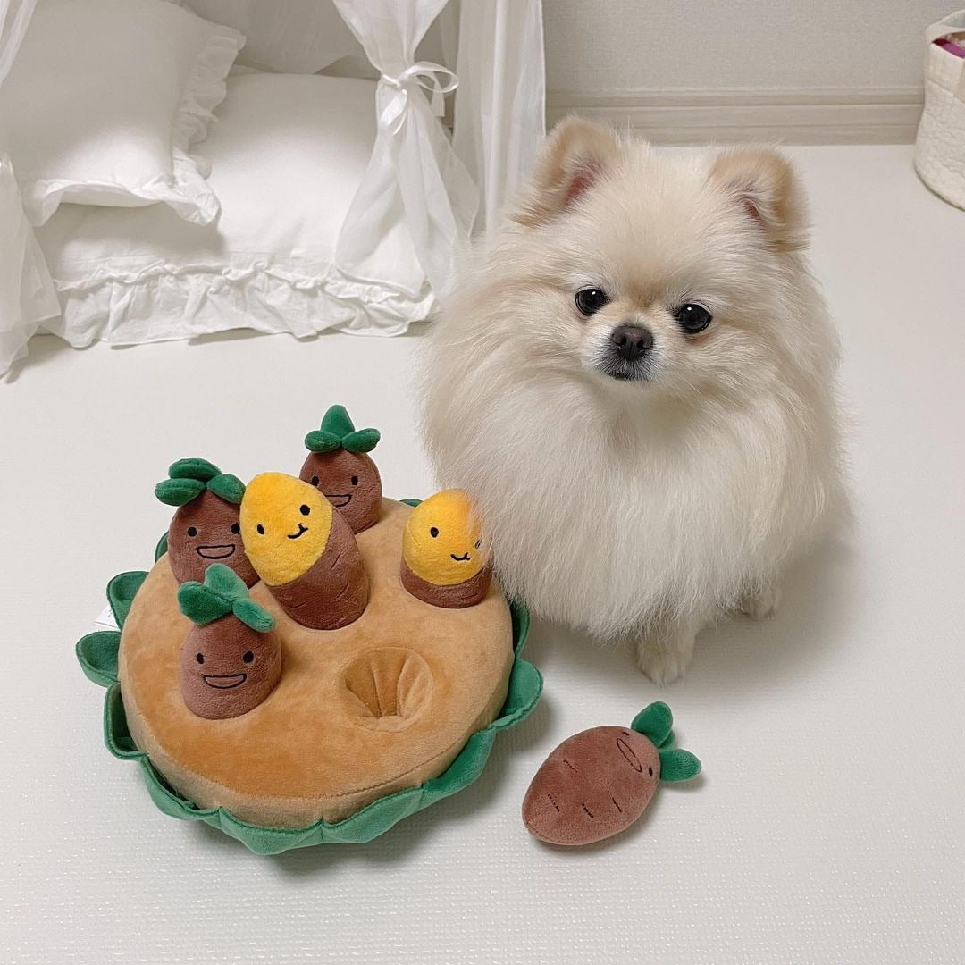 Korean Style Cute Sweet Potato Hide&Seek Pet Toys Set
