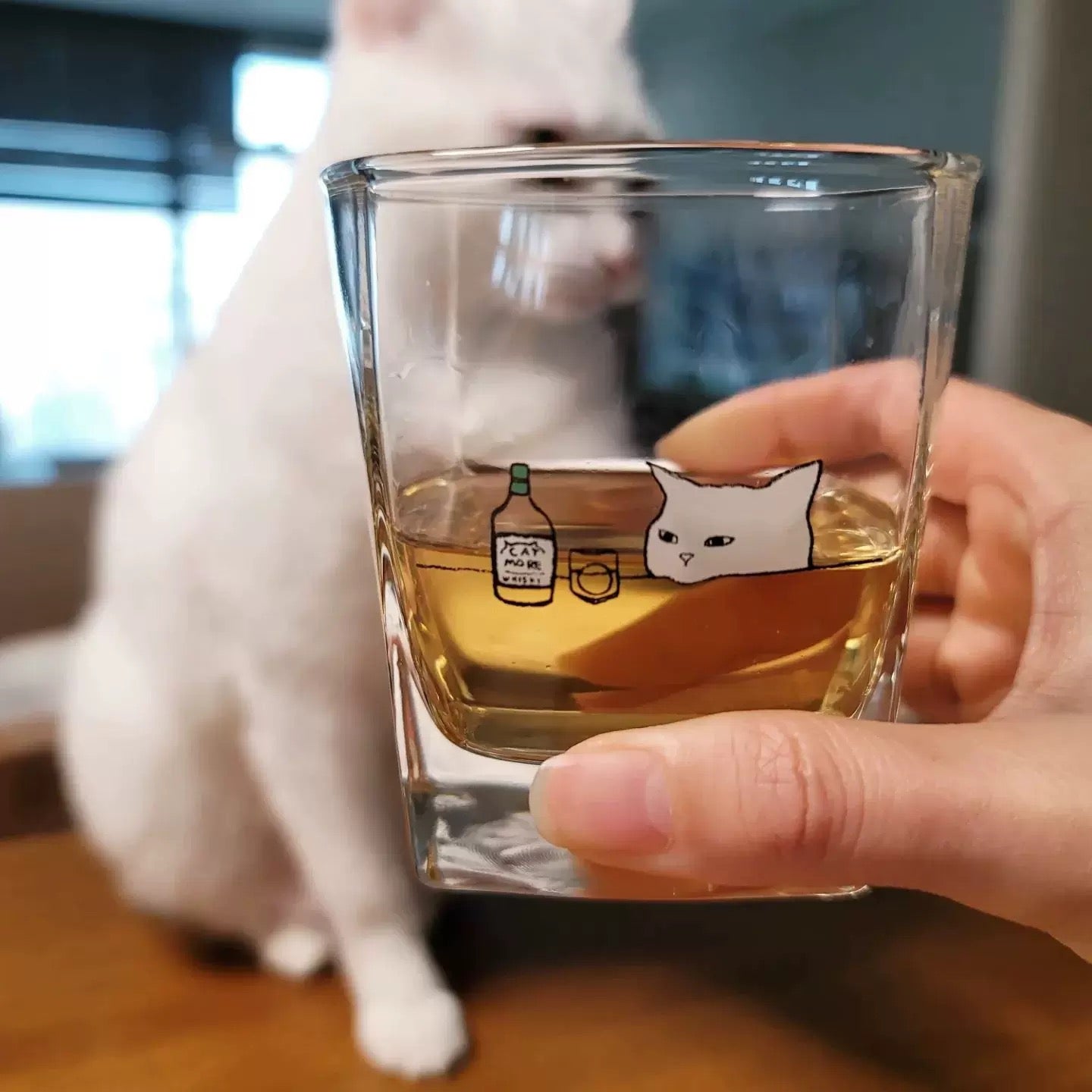 Korean Style Cat Square Whiskey Glass Set (2 Pieces)