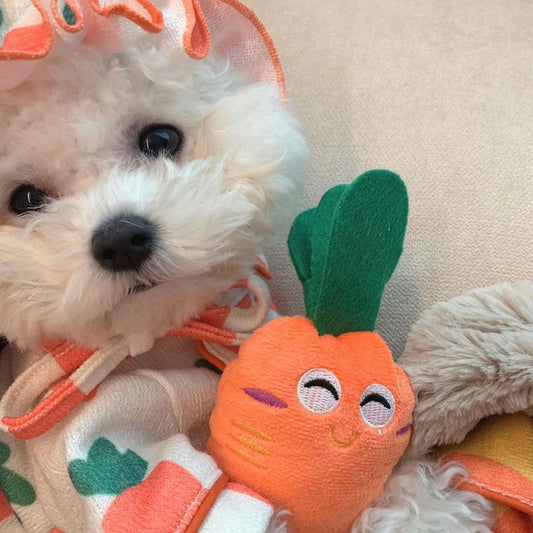 Carrot Squeaky Hide&Seek Pet Toy